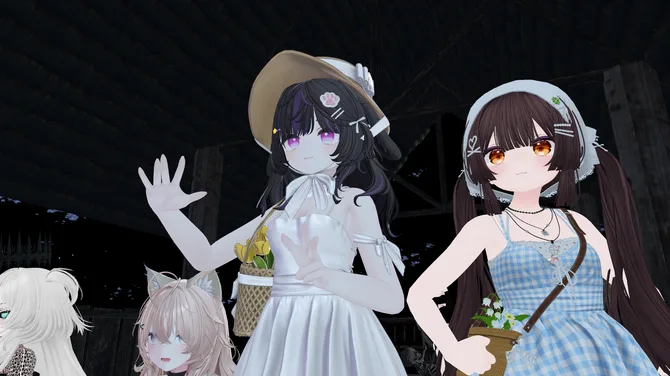 haku - tomo